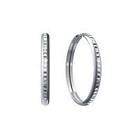 Серьги серебряные, изображение 1